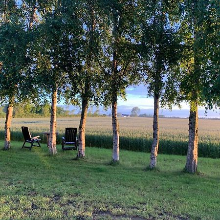 Stunning Romantic Cabin Close To Baltic See Idestrup Екстериор снимка